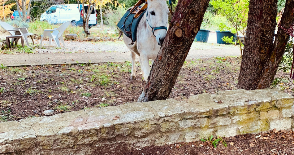 Gîte d’étape Les Hauts de Rémourase@soso