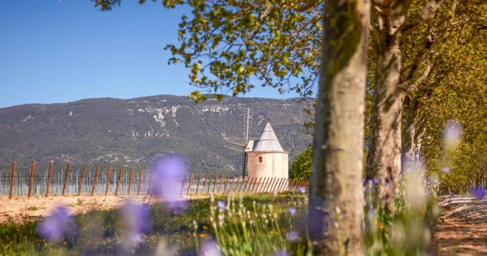 Les Sunsets Vignerons en Luberon au Château de Sannes@Château de Sannes