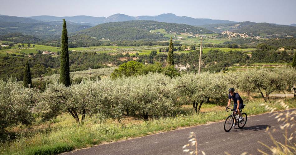 Sortie accompagnée à vélo électrique sur les balcons du Ventoux.@Julien Vacher