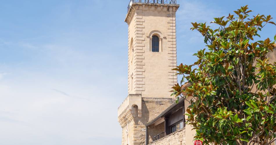 Lavandissima@Isle sur la Sorgue Tourisme - Lolie Martinez