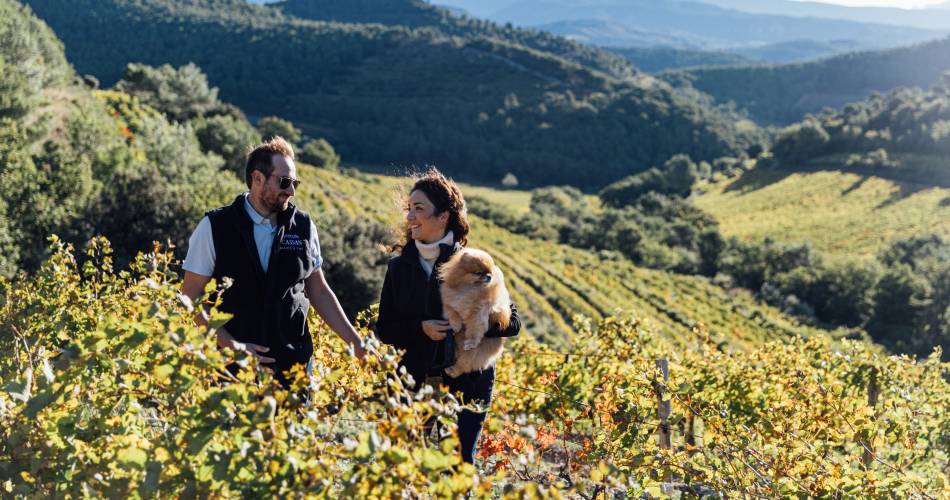 A day between Ventoux and Dentelles de Montmirail in the heart of our vineyards, lunch included@Château La Croix des Pins