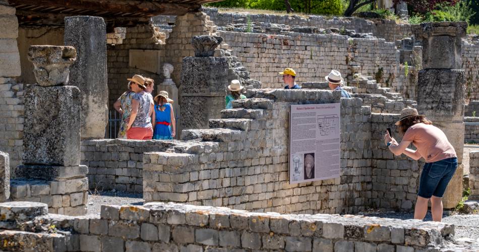 Visites guidées du site antique de Puymin - Week-end de Pentecôte@OT Vaison Ventoux Provence