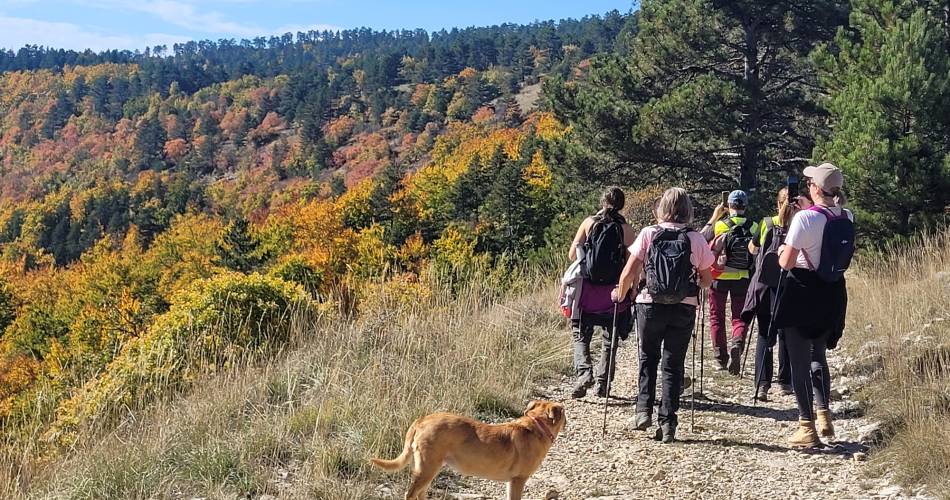 Les randos d'Iza@Isabelle Figueras