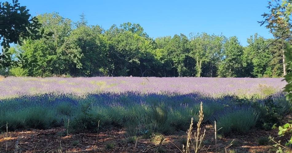 Les randos d'Iza@Isabelle Figueras