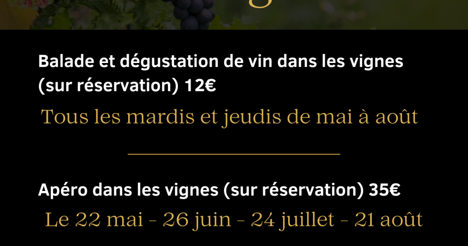 Spaziergang und Weinprobe in den Weinbergen - Domaine Le Clot de Bénou@Domaine Le Clot de Bénou