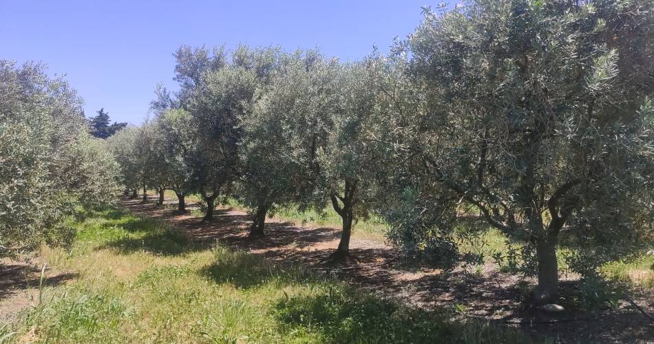 Walk around the Domaine du Vas@GAEC du Vas