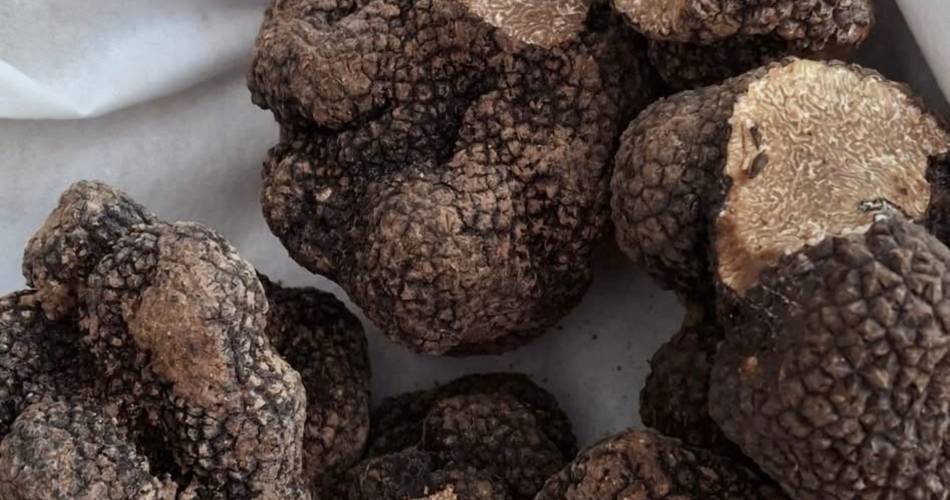 Marché Complice à la truffe blanche@A L'Escapade