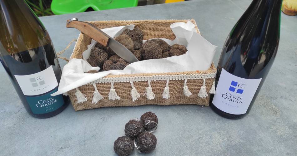 Marché Complice à la truffe blanche@Richerenches Terre de Truffe