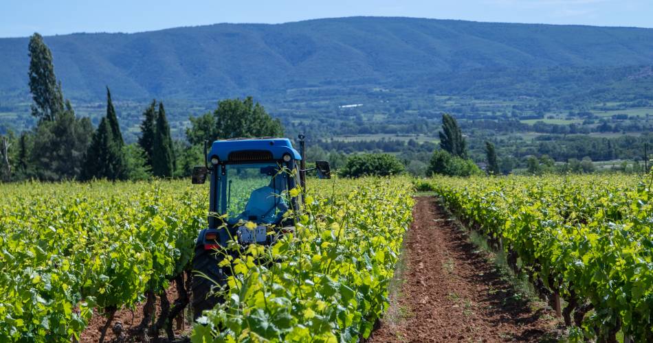 Domaine du Pont Julien@JUSTINE LE CUNFF