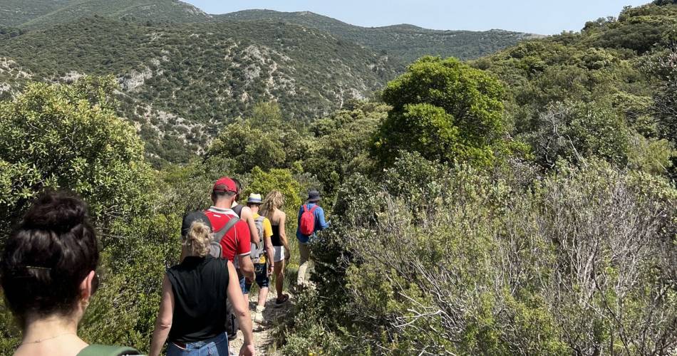 LAURIS - Portalas et biodiversité en chemin@©OTI Destination Luberon