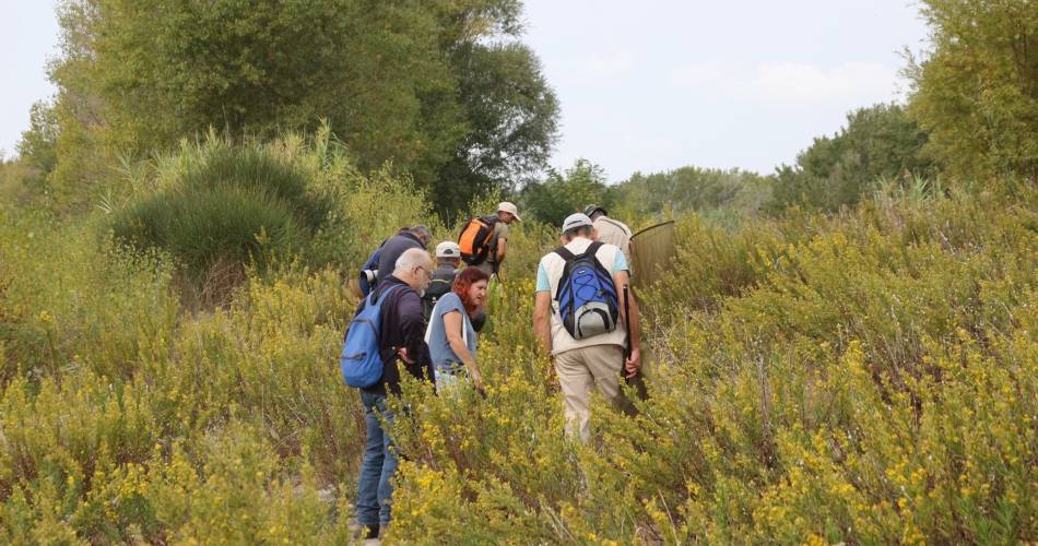 LAURIS - Portalas et biodiversité en chemin@©Anne Boudias-Delacour