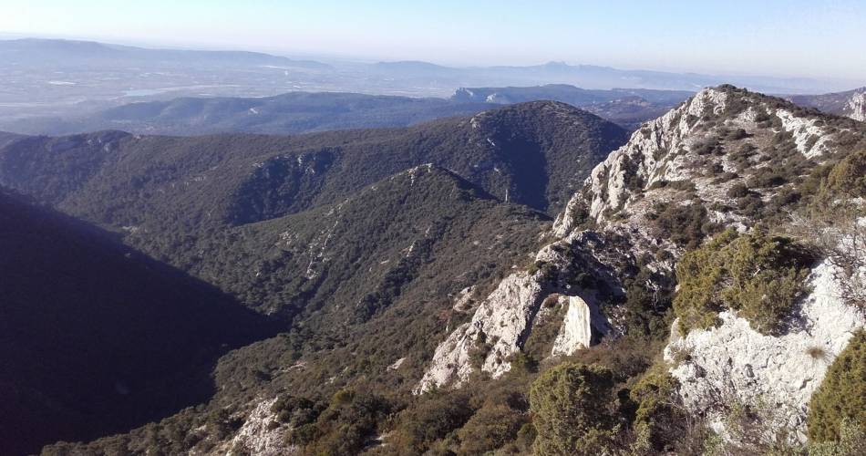 LAURIS - Portalas et biodiversité en chemin@©Eric Garnier - PNR Luberon