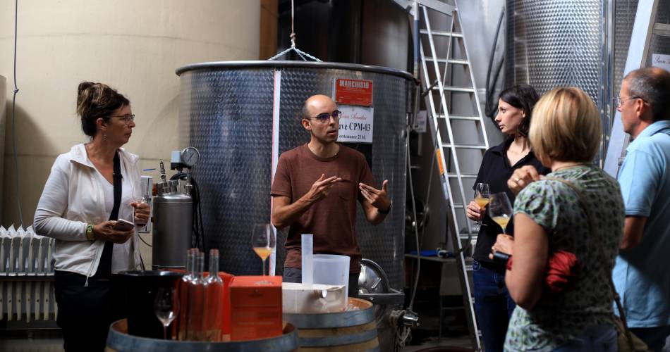 Atelier vinifications chez Pierre Amadieu@© Celliers Amadieu