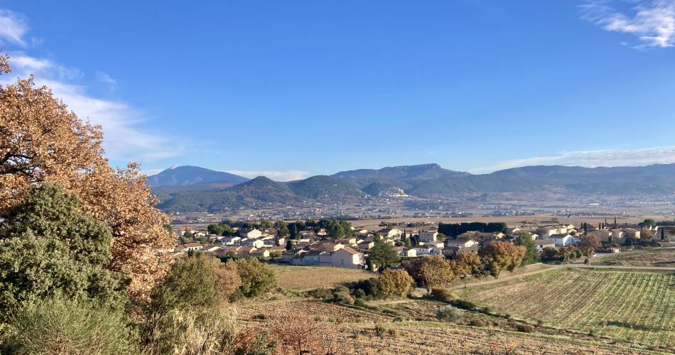 Aire de pique-nique sentier viticole et panoramique@Mairie Rasteau
