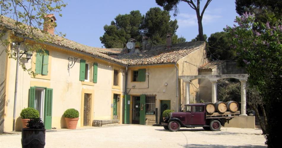 Pique nique entre vignes et oliviers au Château Maucoil@Château Maucoil
