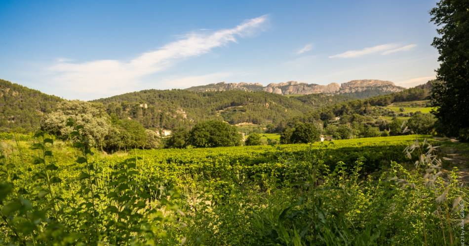 Visite en autonomie sur les pas des Bernardins@Domaine des Bernardins
