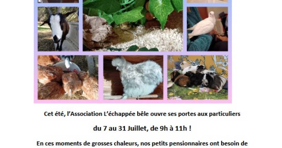 Visite de ferme pédagogique à La Bastidonne@visite de ferme pédagogique à La Bastisonne_La Bastidonne