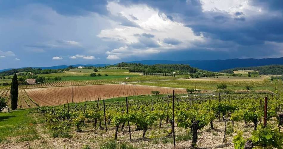 Sunsets vignerons en Luberon au Domaine du Collet Vert@Domaine du collet vert