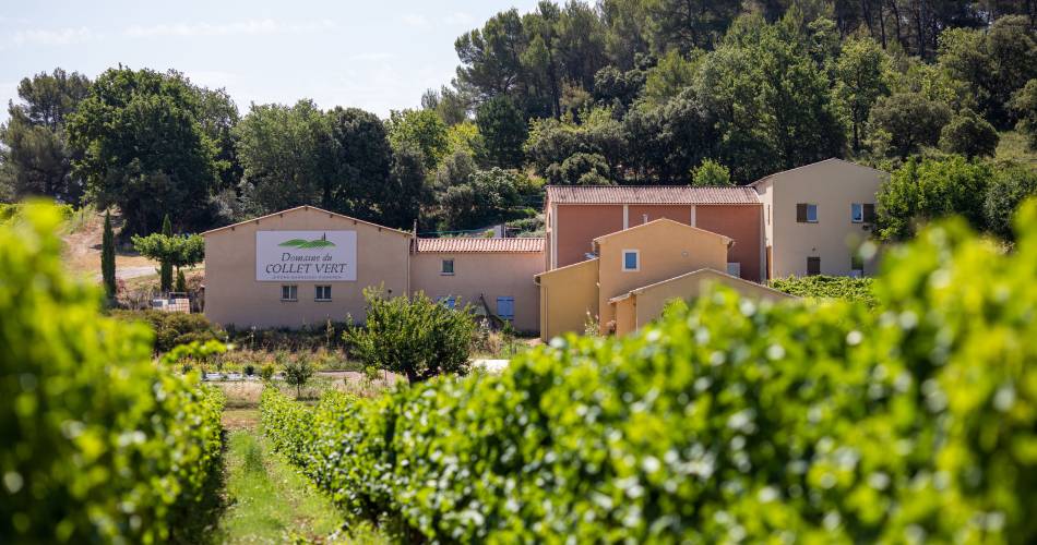 Sunsets vignerons en Luberon au Domaine du Collet Vert@Vincent AGNES