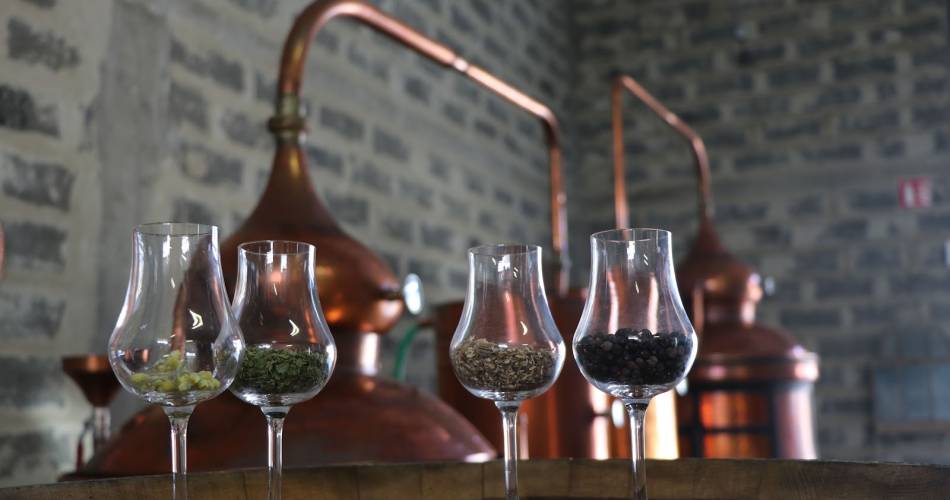 Distillerie Spiritum@spiritum