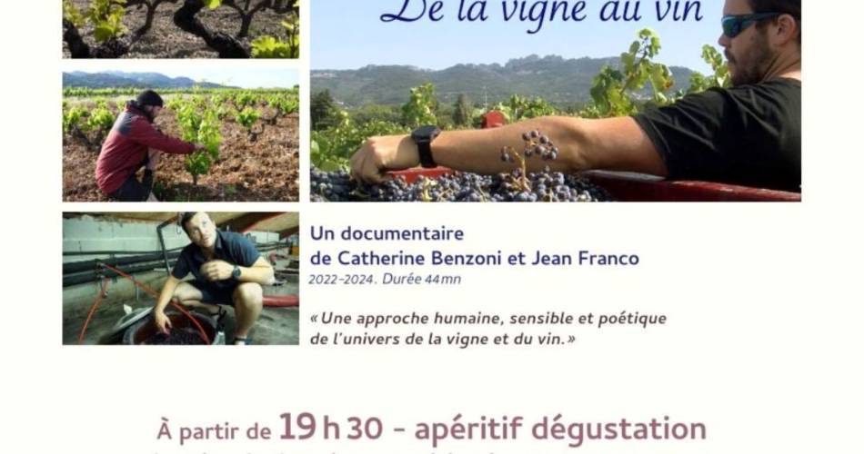 Filmvorführung unter freiem Himmel - Domaine Les Sibu@Domaine Les Sibu