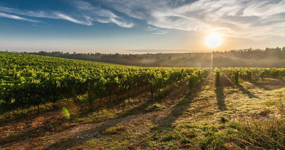Domaine Moun Pantaï@© Domaine Moun Pantai