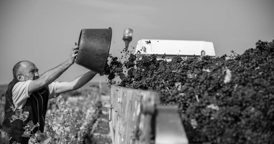 Domaine Moun Pantaï@© Domaine Moun Pantai