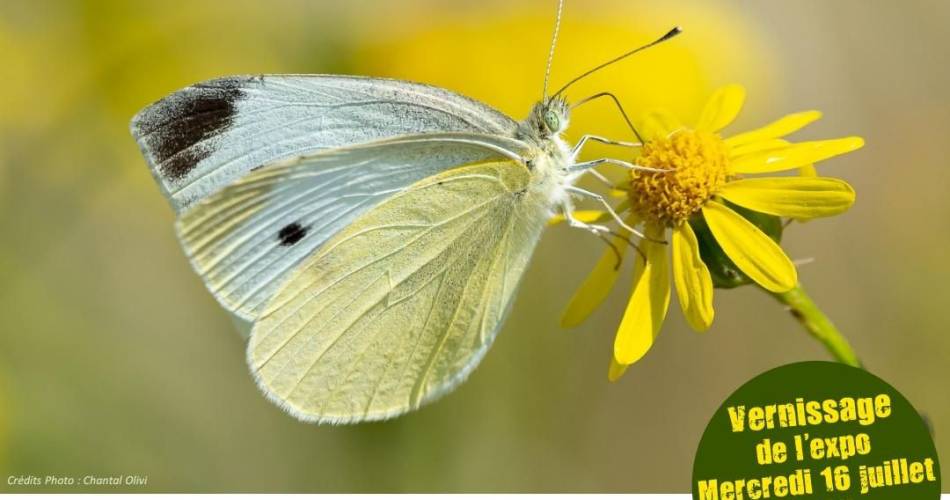 Exposition Photos - Double regard sur la biodiversité@Double regard