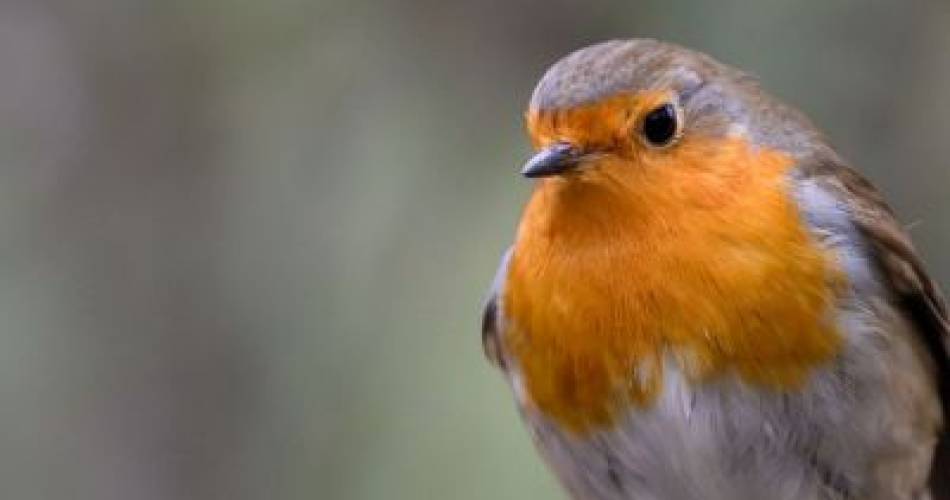 Exposition Photos - Double regard sur la biodiversité@Double regard