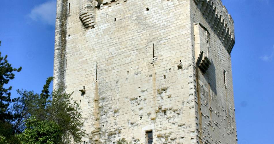 Visite libre de la tour Philippe-le-Bel@Mairie de Villeneuve lez Avignon