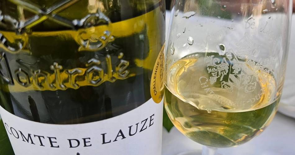 Le Domaine Comte de Lauze fête la Véraison@©Domaine Comte de Lauze