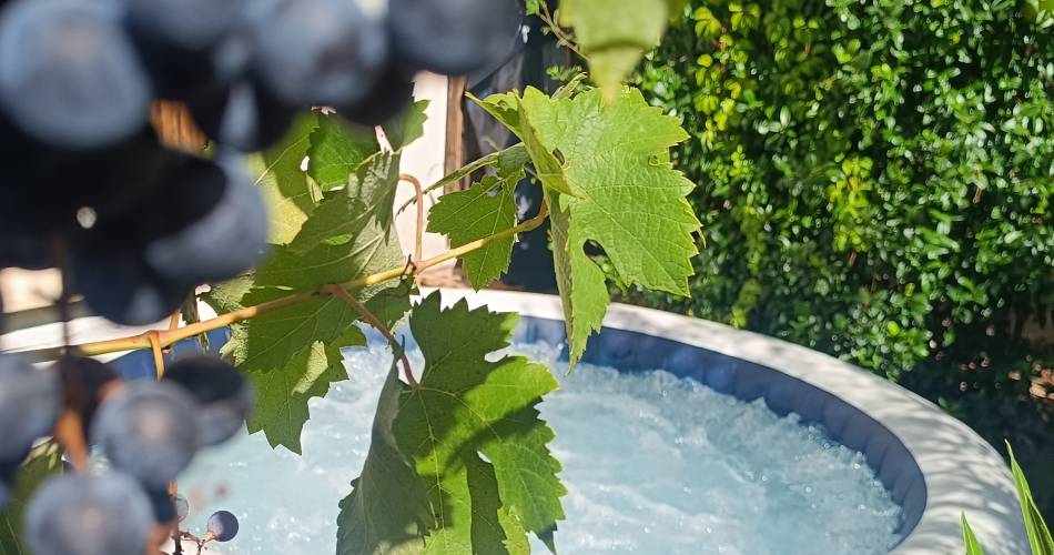 Villa Bulle de raisin@Villa Bulle de raisin