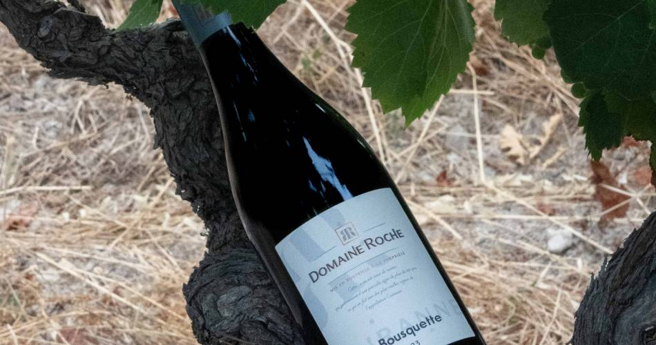 Domaine Roche@Romain Roche