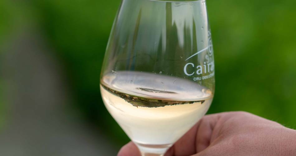 Domaine Roche@Romain Roche