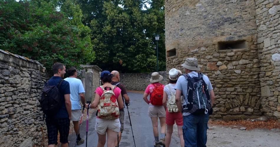 CABRIÈRES D’AVIGNON - De la Cédraie au Mur de la Peste@©OTI Destination Luberon