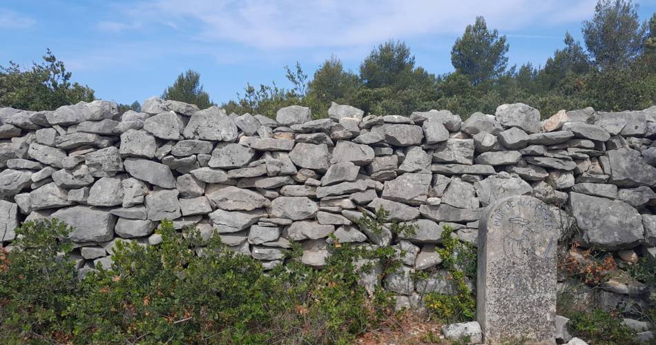 CABRIÈRES D’AVIGNON - De la Cédraie au Mur de la Peste@©OTI Destination Luberon