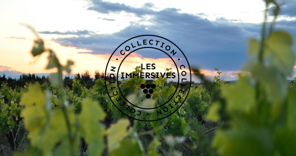 Vignobles en Scène: Het Festival van het domein Plein Pagnier@Domaine Plein Pagnier