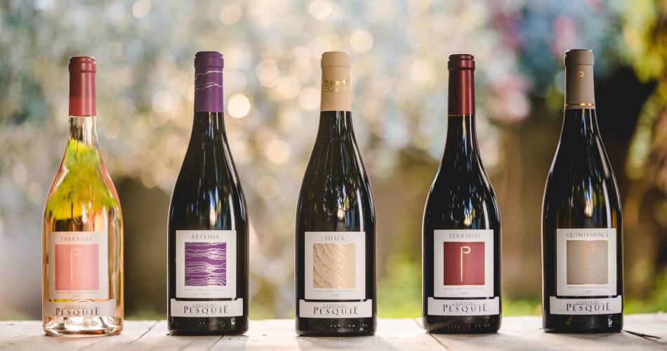 Vignobles en Scène : Dégustation de vieux millésimes - Accord mets et vins@©Céline Audibert