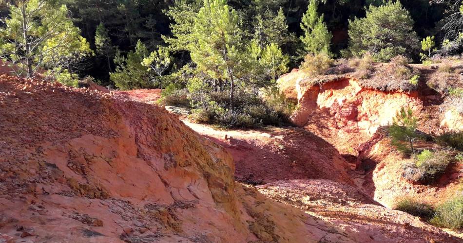 ROUSSILLON - Balade du Bois Saint Jean@©Eric Garnier - PNR Luberon