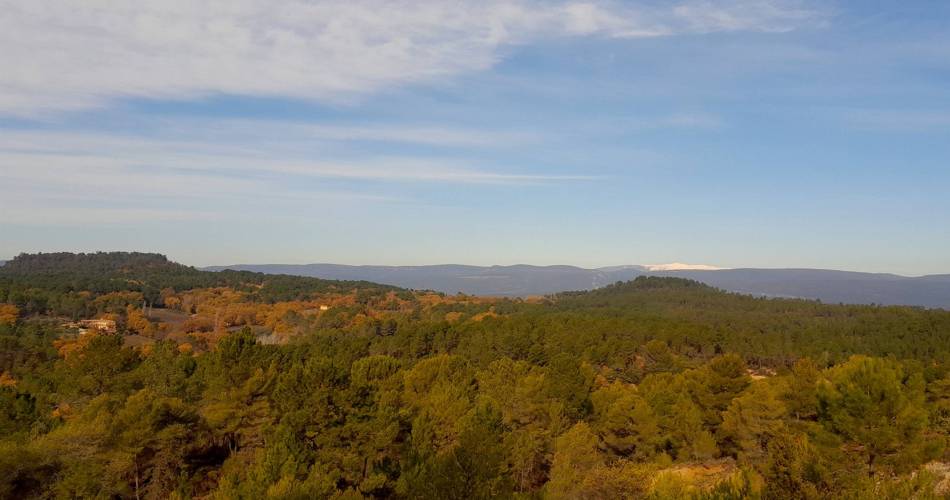 ROUSSILLON - Balade du Bois Saint Jean@©Eric Garnier - PNR Luberon