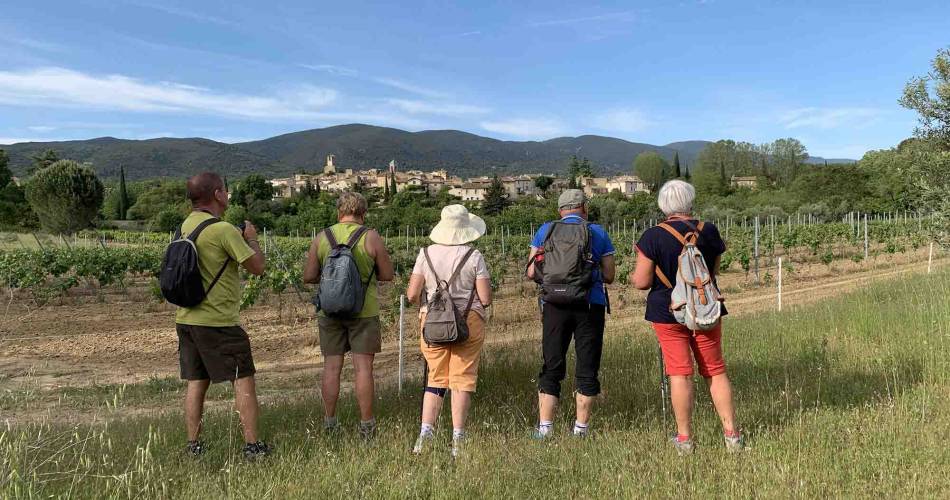 Entre bastide et château, balade au pays de l’huile d’olive à La Bastide du Laval à Cadenet@©Destination Luberon