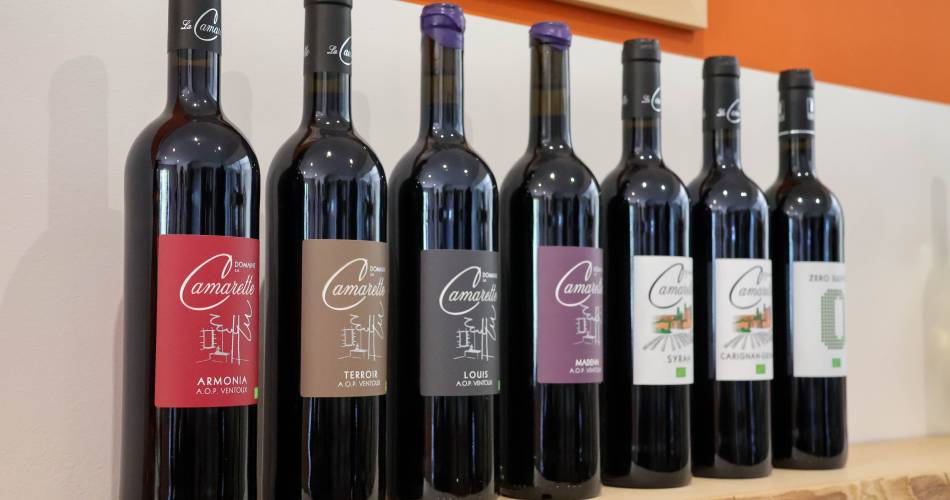 Vignobles en Scène: Welzijn & Terroir in La Camarette@pdv