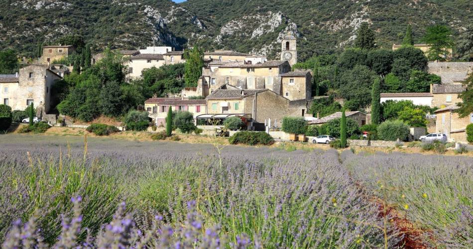 MAUBEC - OPPÈDE-LE-VIEUX - Sur les chemins traversiers@©Alain Hocquel - VPA