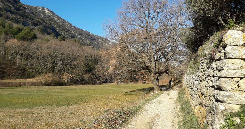 MAUBEC - OPPÈDE-LE-VIEUX - Sur les chemins traversiers@©Eric Garnier - PNR Luberon