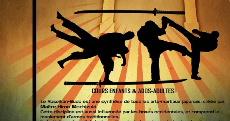 Cours de Yoseïkan Budo 13+@Ventoux Budokan