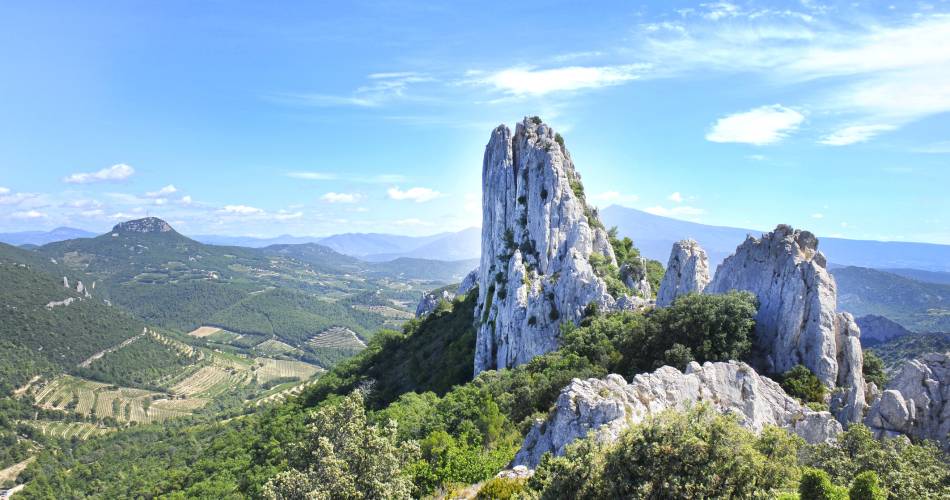 Au coeur des Dentelles de Montmirail@Istock