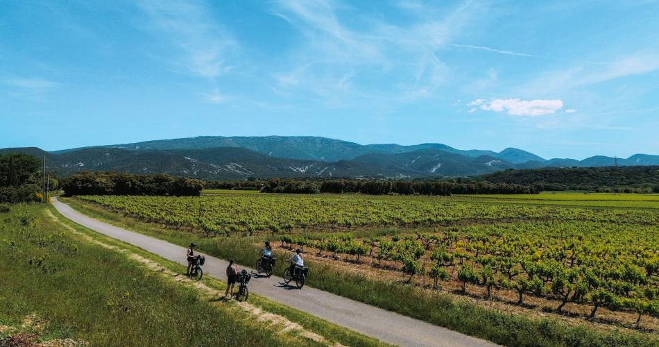 Au coeur des Dentelles de Montmirail@L.Aumont