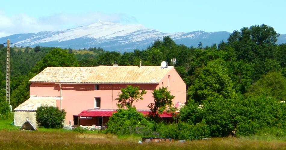 Chambres d'hôtes "Bergerie Joy"@Joy