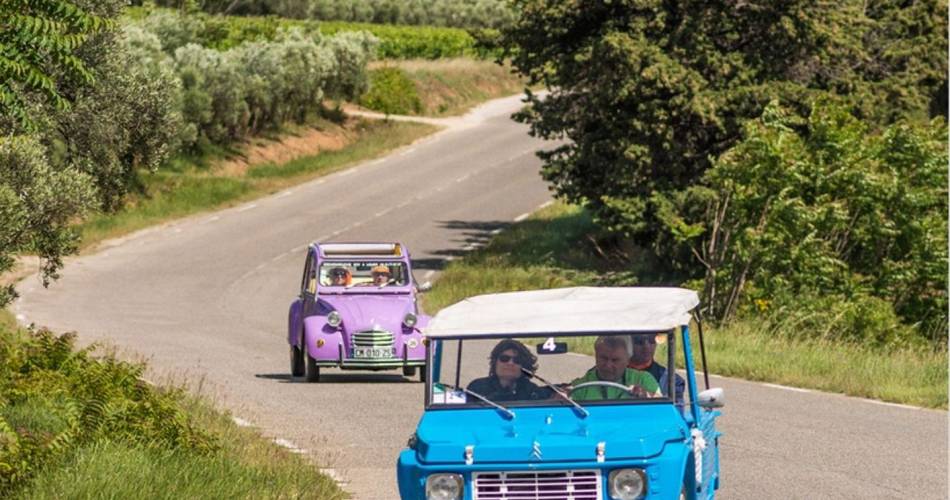 Provence Organisation Expériences@®POExperiences