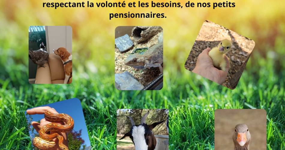 Stage Petit Fermier à La Bastidonne@Stage Petit Fermier à La Bastidonne_La Bastidonne